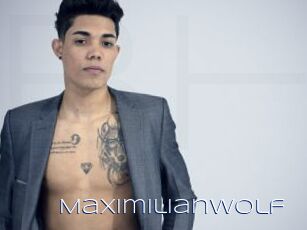 MaximilianWolf