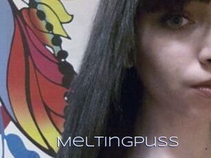 MeltingPuss