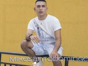 MikeSantodomingo