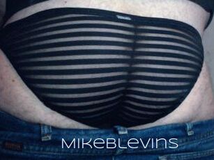 Mikeblevins