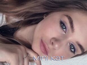 Mini_Kat
