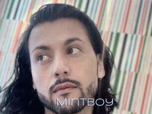 Mintboy
