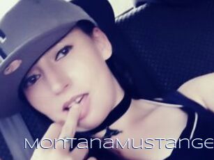 MontanaMustange