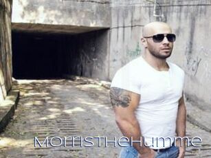 MorrisTheHumme