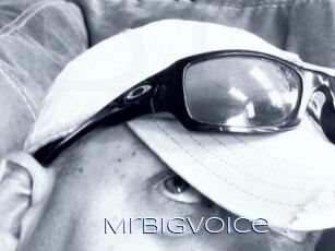 MrBigVoice
