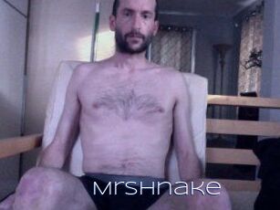 MrShnake