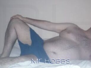 Mr_Hobbs