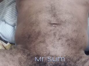 Mr_Slim