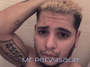 Mr_pervysage