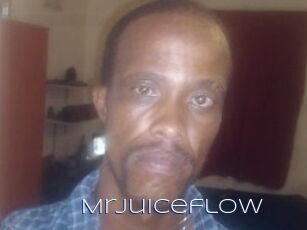 Mrjuiceflow