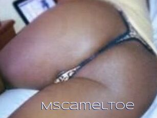 MsCamelToe