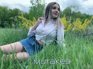 MuraKey