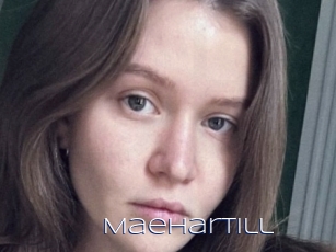 Maehartill