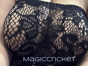 Magiccricket