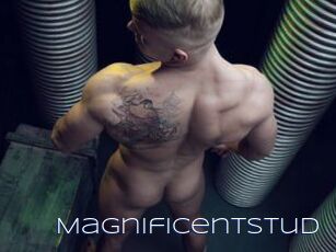 magnificentstud Blue Hot