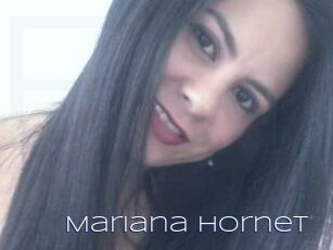 Mariana_hornet