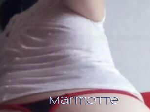 Marmotte
