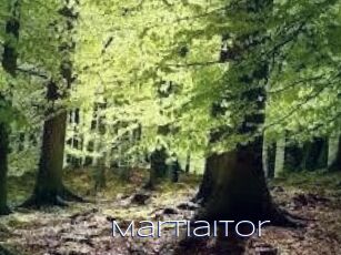 Martiaitor