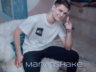 Marvinshake