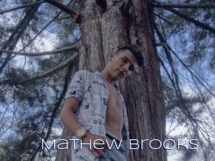Mathew_brooks