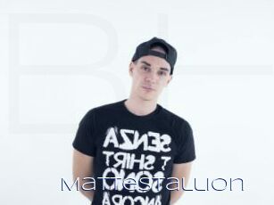 Mattestallion