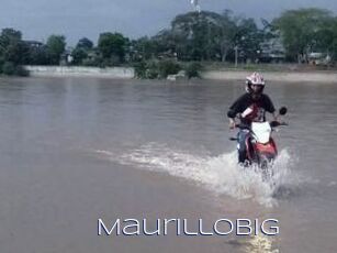 Maurillobig
