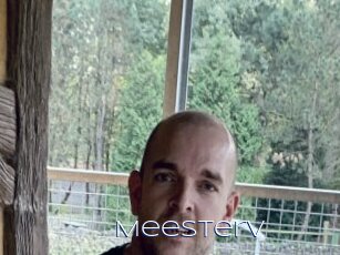 Meesterv