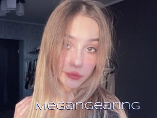 Megangearing