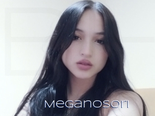 Meganosori