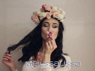 Meilssalissa