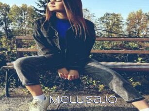 Mellisajo