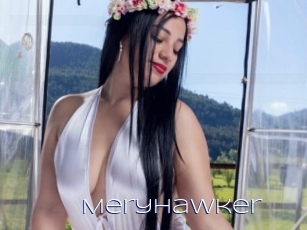 Meryhawker