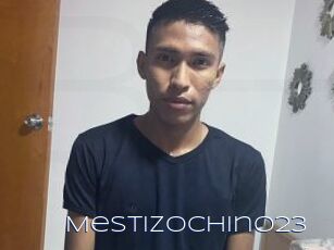 Mestizochino23
