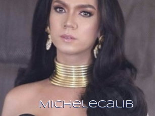 Michelecalib
