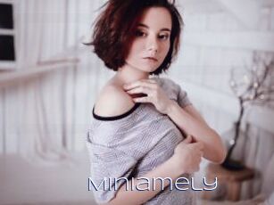 Miniamely