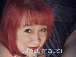Mollimausi
