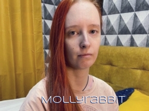 Mollyrabbit