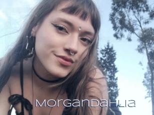 Morgandahlia