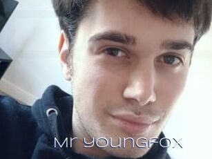 Mr_youngfox