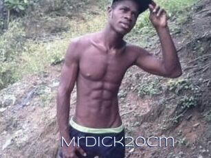 Mrdick20cm