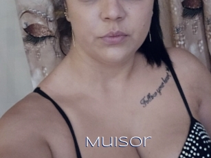 Muisor