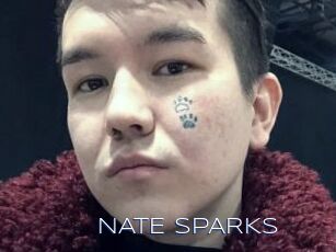 NATE_SPARKS