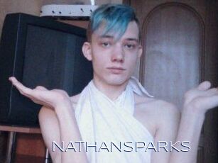 NATHAN_SPARKS