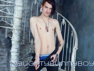 NaughtyBunnyBoy