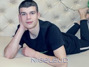 NigelBud