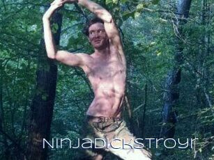NinjaDickstroyr