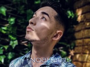 NoaHarris