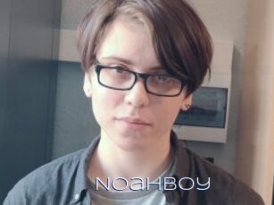 NoahBoy