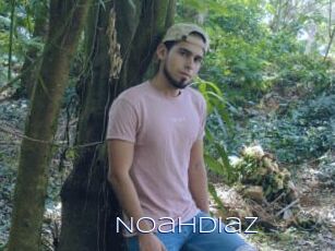 NoahDiaz