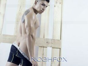 NoahFox
